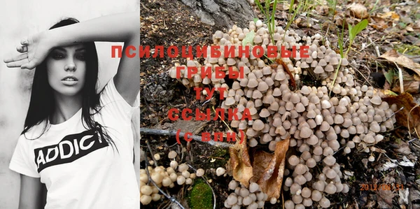 МДПВ Горняк
