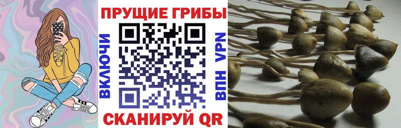 наркотики  OMG онион  Галлюциногенные грибы ЛСД  Десногорск 